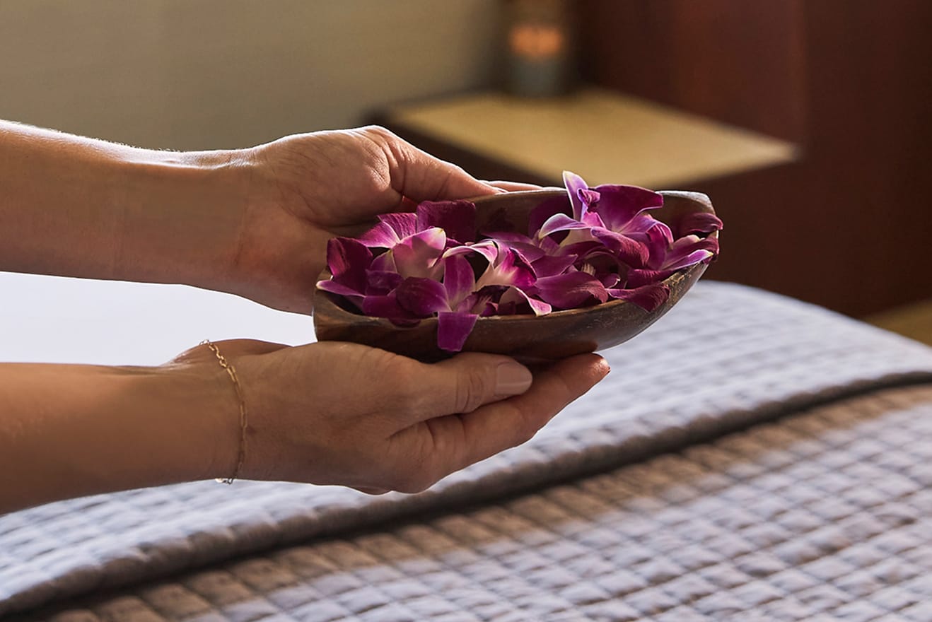 Elevated Wellness